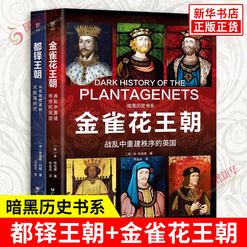 暗黑历史书系 都铎王朝+金雀花王朝 全2册 大航海时代 战乱中重建秩序的英国 历史中人物的命运 广东人民出版社 新华书店正版书籍
