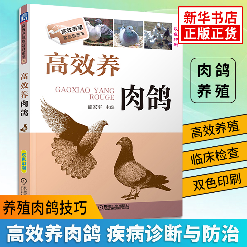 正版高效养肉鸽养殖专业科技鸽子疾病诊断与防治养殖肉鸽技巧养鸽子书籍【新华书店官方正版】