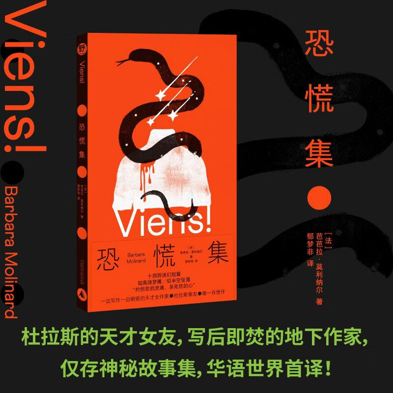 恐慌集 芭芭拉莫利纳尔 杜拉斯女友怪诞短篇小说集 外国小说散文短篇集 广西师范大学出版社 凤凰新华书店旗舰店官网正版书籍