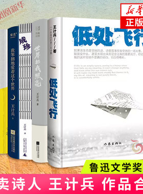 鲁迅文学奖得主王计兵作品合集 低处飞行 成珍 手持人间一束光 我笨拙地爱着这个世界  中国现当代文学诗歌 新华书店正版书籍