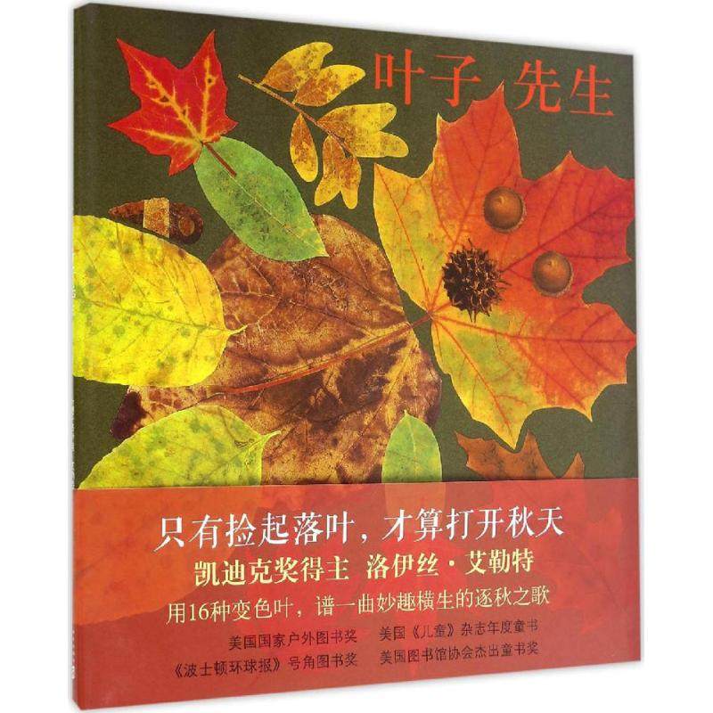 正版 叶子先生(精)  0-3-6周岁儿童绘本 幼儿故事书 宝宝启蒙绘本图画