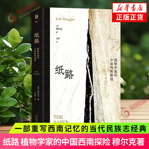 纸路 植物学家的中国西南探险 穆尔克 著 一部重写西南记忆的当代民族志经典 一段西方知识生产的沉默真相 凤凰新华书店旗舰店