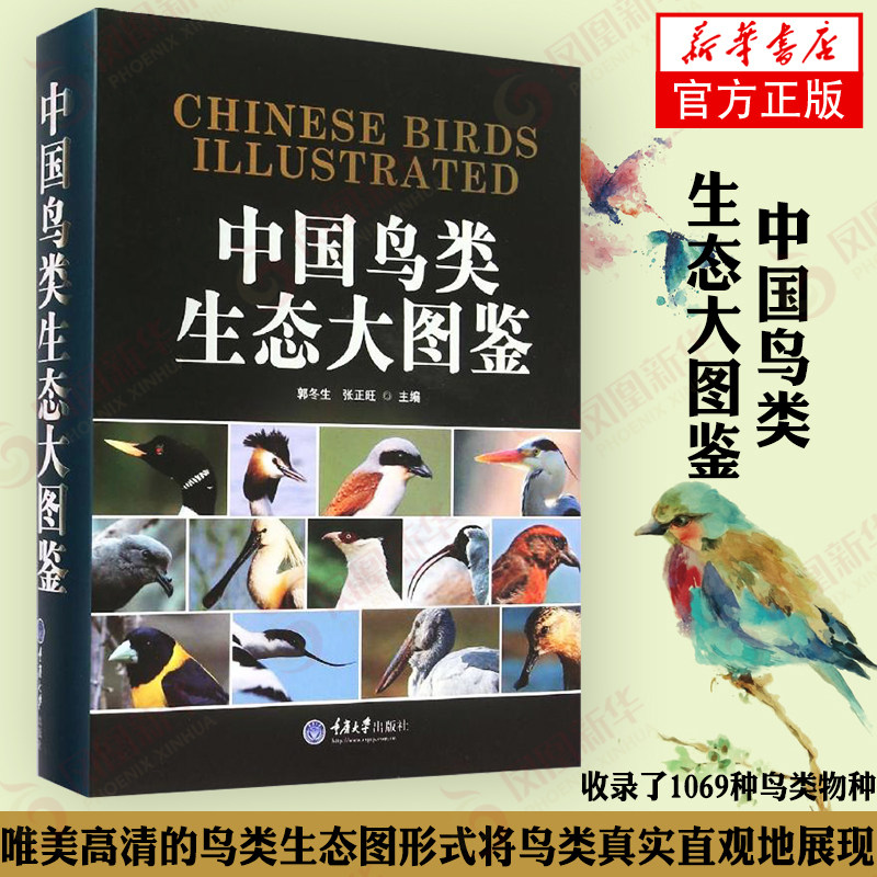 中国鸟类生态大图鉴 自然生态图鉴 中国鸟类图鉴 鸟类知识档案 动物百科 鸟类物种鸟类生态图【凤凰新华书店旗舰店】