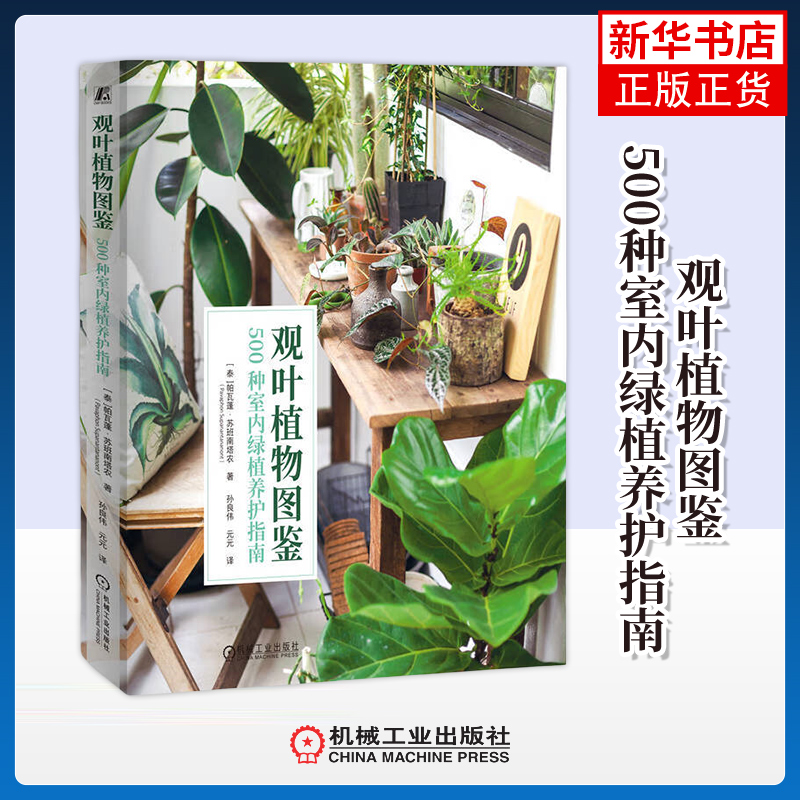 观叶植物图鉴-500种室内绿植养护指南 (泰)帕瓦蓬.苏班南塔农 机械工业出版社 新华正版书籍