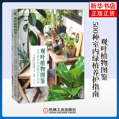 观叶植物图鉴-500种室内绿植养护指南 (泰)帕瓦蓬.苏班南塔农 机械工业出版社 新华正版书籍