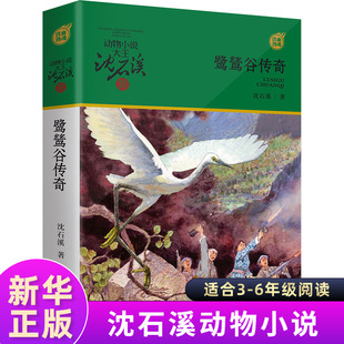 鹭鸶谷传奇 动物小说大王沈石溪军旅系列7-10-12岁儿童文学故事书小学生一二三四五六年级课外阅读儿童成长励志小说故事书新华正版