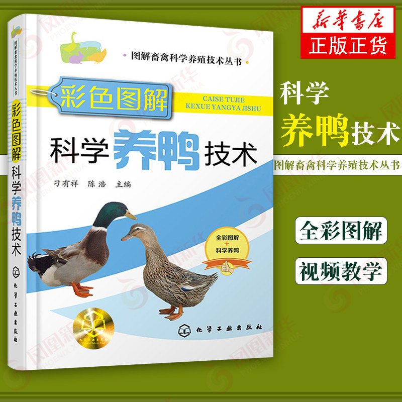 科学养鸭技术 图解畜禽科学养殖技术丛书  蛋鸭养殖技术养鸭书籍科学养鸭鸭病防治诊疗鸭常见病诊治养鸭饲料兽医 新华书店正版