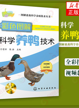 科学养鸭技术 图解畜禽科学养殖技术丛书  蛋鸭养殖技术养鸭书籍科学养鸭鸭病防治诊疗鸭常见病诊治养鸭饲料兽医 新华书店正版