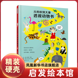 正版 从蚂蚁到大象透视动物书 启发精选 神奇透视绘本 了解动物奥秘 体验科学 [法]苏菲·多瓦/文 [英]OKIDO工作室/图