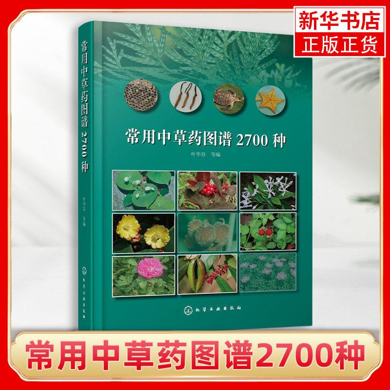 常用中草药图谱2700种叶华谷 中草药鉴别辨别方法 中草药品种种类分类形态形状分布特征图谱大全 中草药野外识别手册书