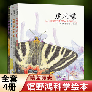 【精装】馆野鸿科学绘本全套4册蛩蠊斑蝥虎凤蝶埋葬虫昆虫科普书籍3-6岁幼儿园宝宝早教启蒙生物百科小学生认知自然界图画书