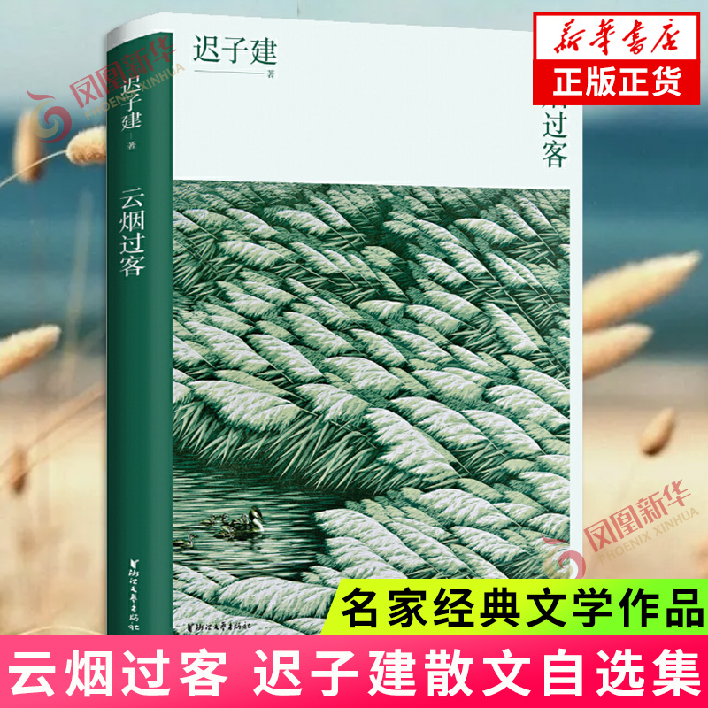 云烟过客 迟子建散文自选集 名家经典文学作品选集 中国近代随笔 迟子建散文集 以人物为写作核心 凤凰新华书店旗舰店正版书籍