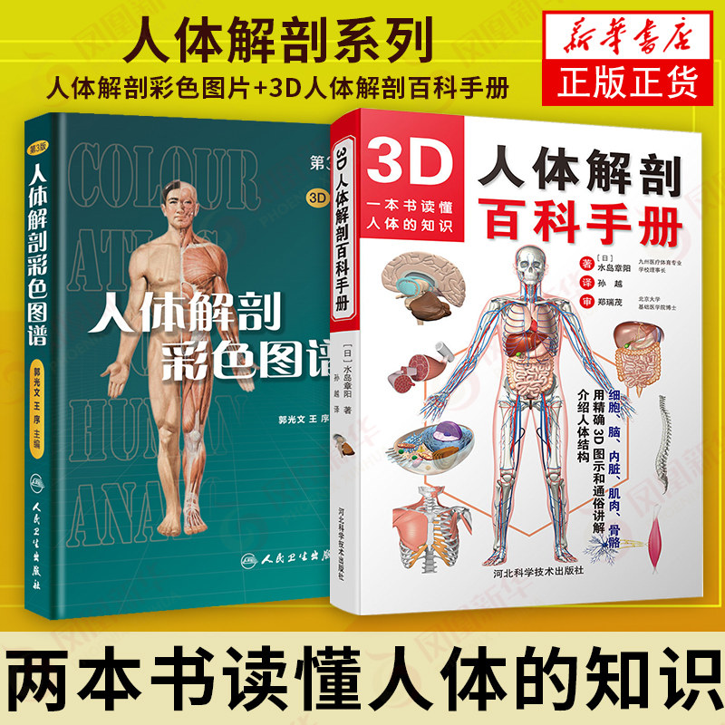 解剖学素材集: 全身 解剖図 – OAJX