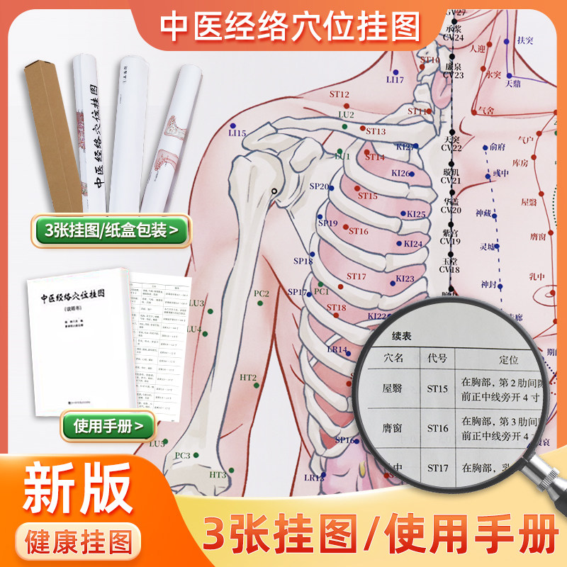 【0.8m*0.38m】3张 人体经络穴位图 人体经络穴位标准大图册 中医经络穴位挂图姚琳中医养生人体经络穴位标准挂图书针灸推拿