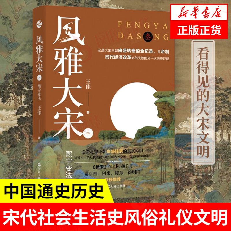 风雅大宋熙宁变法王佳著历史书籍