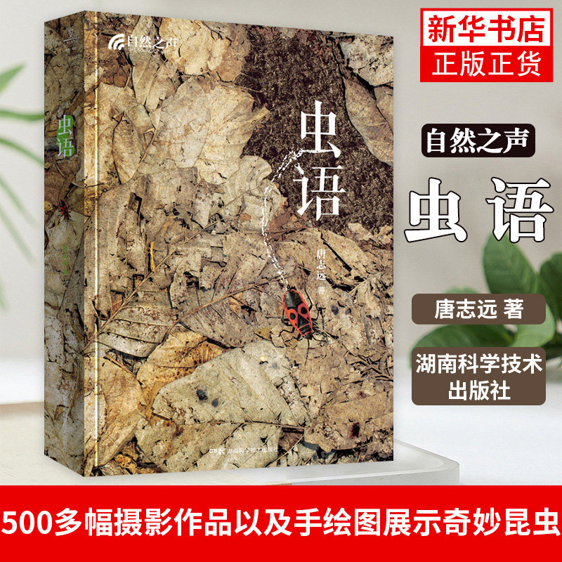 自然之声:虫语 中国地理御用自然摄影师用500多幅摄影作品以及手绘图展示了奇妙的昆虫凤凰新华书店旗舰店