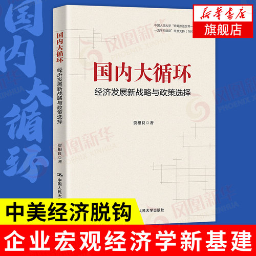 国内大循环 经济发展新战略与政策选择 贾根良著 党政经济学者企业宏观经济学新基建 中国经济 新华书店正版
