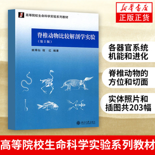 姚锦仙 第二版 高等院校生命科学实验系列教材 北京大学出版 新华书店旗舰店 脊椎动物比较解剖学实验 社 第2版