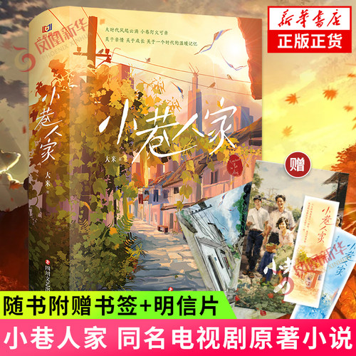小巷人家电视剧原著小说