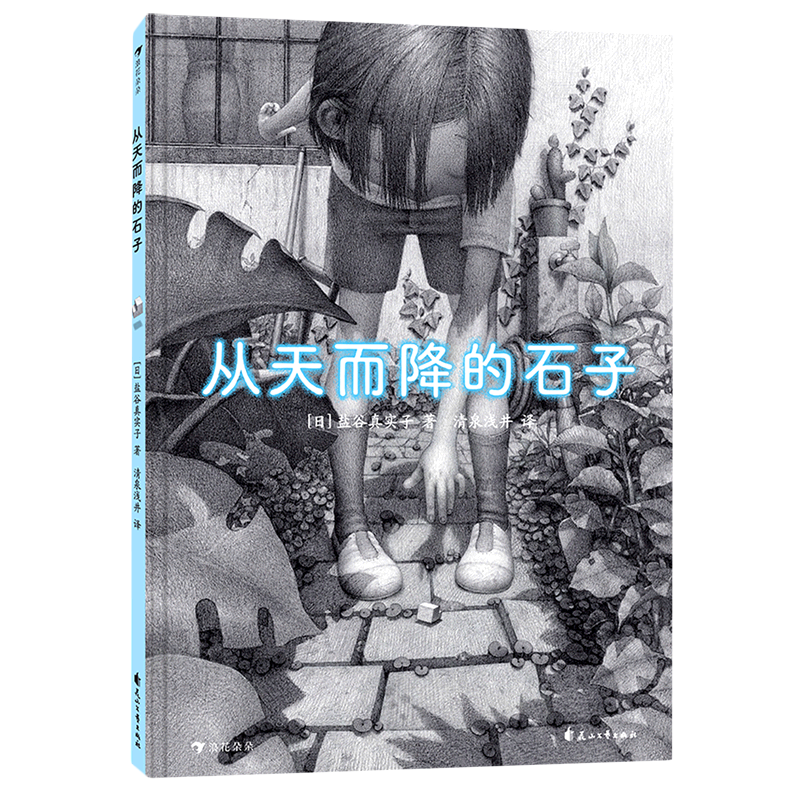 从天而降的石子 6-12岁儿童阅读小学生一二三四五六年级课外阅读炭笔绘制童年幻想宇宙绘本图画故事亲子睡前共读书花山文艺出版社
