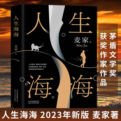 人生海海 茅盾文学奖获奖作家麦家作品 中国现当代文学小说