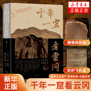 考古 云冈石窟艺术通识书 社 王凯 凤凰新华书店旗舰店 中信出版 杨超文物 与历史脉络 千年一窟看云冈 艺术风格