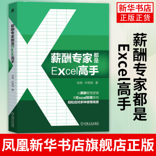 薪酬专家都是Excel高手 翁涛 叶明珠 财务薪酬管理人员的Excel应用难题剖析书籍 Excel实用技巧薪酬管理实操书籍