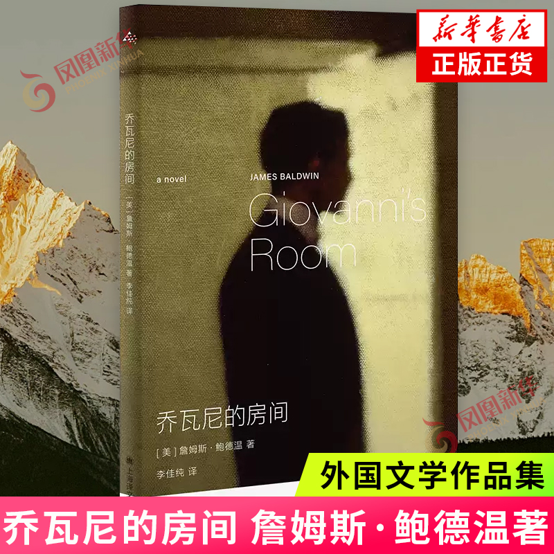 乔瓦尼的房间 美詹姆斯鲍德温名著 科尔姆托宾精彩导读上海译文出版社美国文学世界文学爱情经典 外国小说 凤凰新华书店正版