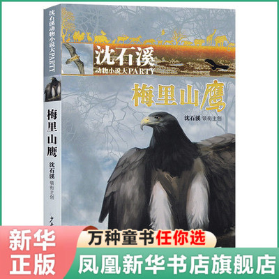 梅里山鹰  沈石溪动物小说大PARTY 沈石溪动物故事 小学生三四五六年级课外阅读图书 8-9-10-12-15岁 儿童文学 儿童动物童话