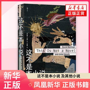 这不是本小说 及其他小说［美］戴维·马克森 著 外国小说北京联合出版社 凤凰新华书店旗舰店正版书籍