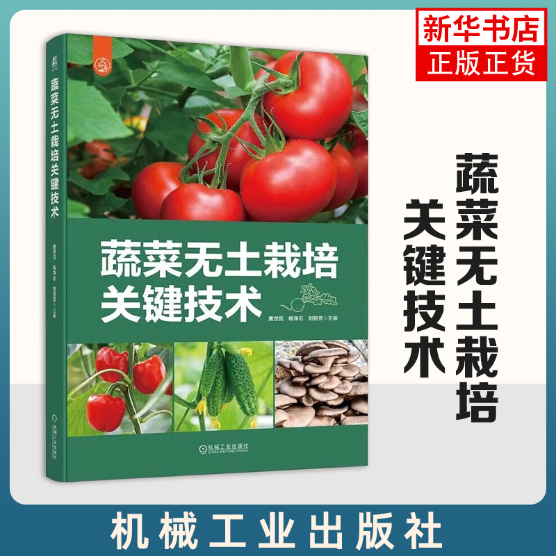 蔬菜无土栽培关键技术