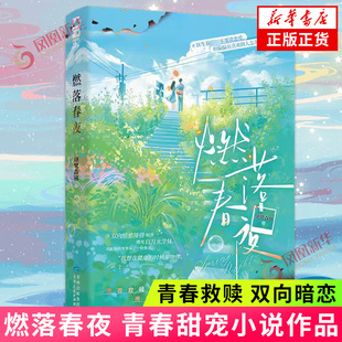 燃落春夜 中国当代长篇小说 9787221178473 贵州人民出版社 谜鹭森林 新华书店正版书籍 凤凰新华书店旗舰店