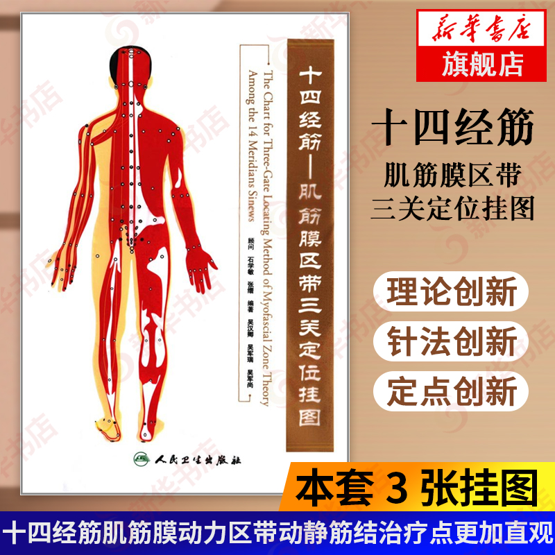 十四经筋-肌筋膜区带三关定位挂图十二经筋与任脉经筋督脉经筋肌筋膜动力区带神经血管图表类人卫书籍中医资料