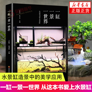 水景缸造景中 水景缸常用水生植物 水景缸常用生物 水景缸由哪几部分组成 从这本书爱上水景缸 美学应用 一缸一景一世界