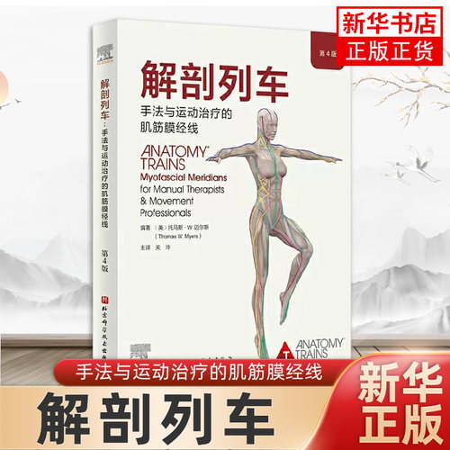 解剖列车手法与运动治疗的肌筋膜经线 关玲 主译 奈特人体解剖图谱医学基础教材工具人体解刨彩色肌肉功能测试