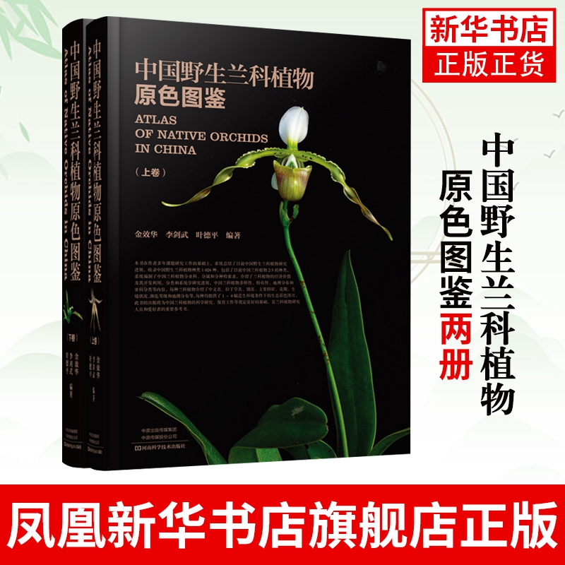 中国野生兰科植物原色图鉴两册兰科植物的经济价值及其开发利用分类和系统学研究进展中国兰科植物多样性【凤凰新华书店旗舰店】
