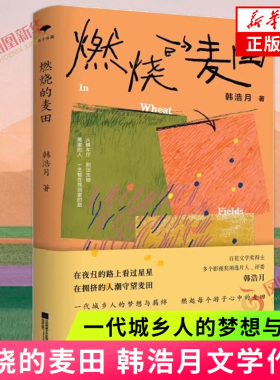 【赠书签+明信片】燃烧的麦田 韩浩月 非虚构散文集 在夜归的路上看过星星在拥挤的人潮守望麦田 现当代文学散文随笔 新华书店正版