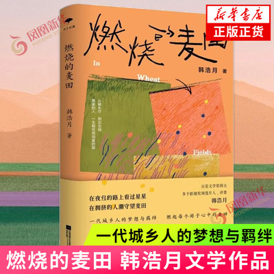 燃烧的麦田韩浩月非虚构散文集