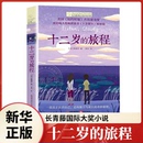 旅程 书籍青少年中小学生课外书阅读 长青藤大奖小说书系 正版 四五六年级课外阅读书籍初中生课外书名著儿童文学 十岁那年 十二岁