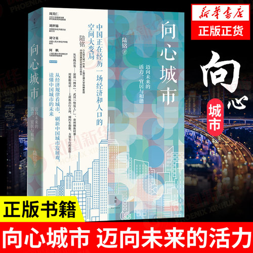 向心城市大国大城陆铭著正版