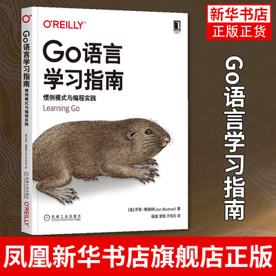 Go语言学习指南 惯例模式与编程实践 Go程序设计语言 Go并发编程实战教程书籍 go语言编程教程书籍 go语言学习笔记golang教程实战