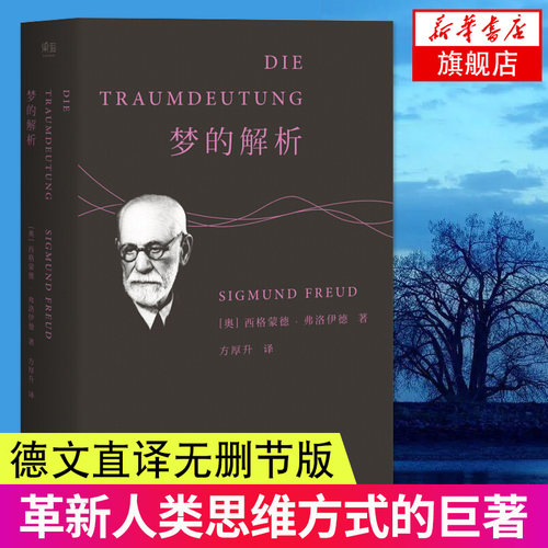 梦的解析 (奥)弗洛伊德 读心术入门心理学与生活社会心理学心理学 心理学读物 精神分析学说 潜意识理论书籍 新华书店正版