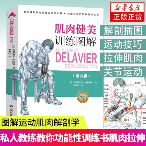 肌肉健美训练图解德拉威尔运动肌肉解剖学图谱健身教程大全健身书籍增肌书籍健身教练书籍功能性训练书肌肉拉伸训练力量训练解剖书