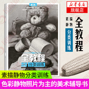 全教程 素描静物分类训练 李永旺 重庆出版社 敲门砖经典美术艺术考试书籍 美术绘画教程教材书籍 基础素描静物