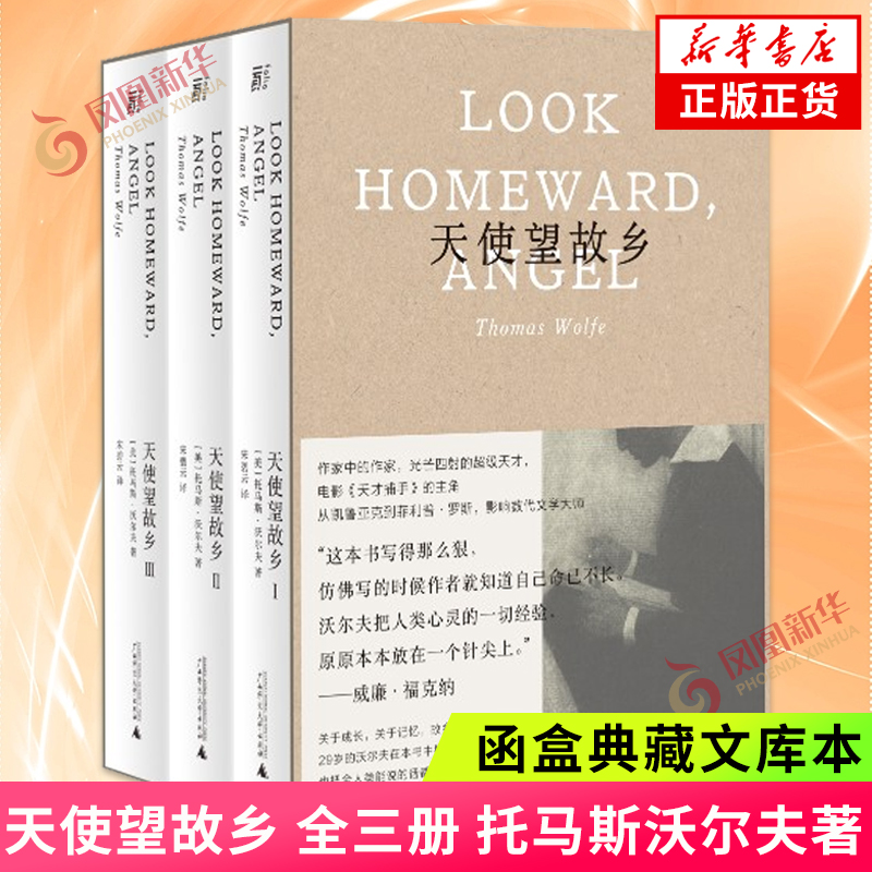 天使望故乡 全三册 托马斯沃尔夫著 函盒典藏文库本翻译家宋碧云译本 外国小说 广西师范大学出版社凤凰新华书店旗舰店正版书籍