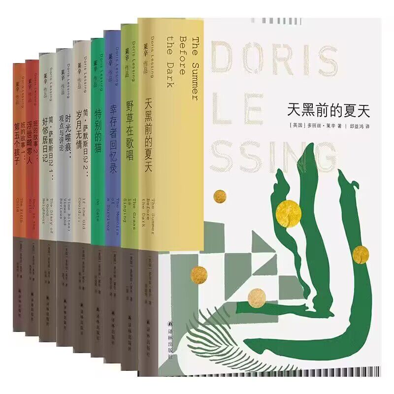 【套装9册】莱辛作品 特别的猫第五个孩子好邻居日记野草在歌唱时光噬痕幸存者回忆录天黑前的夏天岁月无情浮世畸零人现代散文集