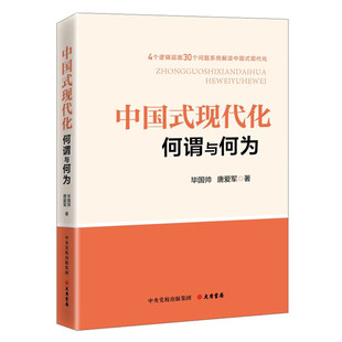 4官方正版 中国式 博库网 现代化；毕国帅 看懂中国发展路径 唐爱军全新力作 必须读懂中国式 现代化：何谓与何为