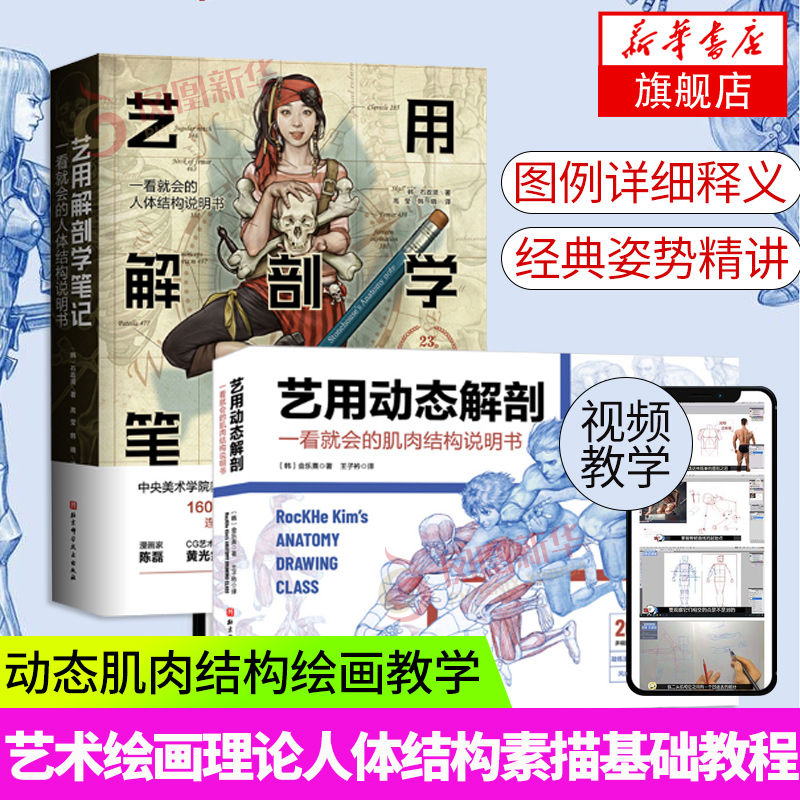 2册套 艺用解剖学笔记+艺用动态解剖-一看就会的肌肉结构说明书 艺术绘画理论人体结构素描基础教程人体动态肌肉结构绘画教学漫画