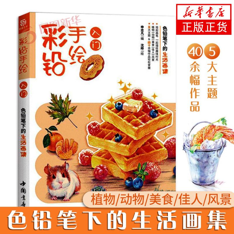 彩铅手绘入门 色铅笔下的生活画集 彩铅画教程书 彩色铅笔线稿临摹素材涂色步骤 临摹画册画画自学初学者美术书