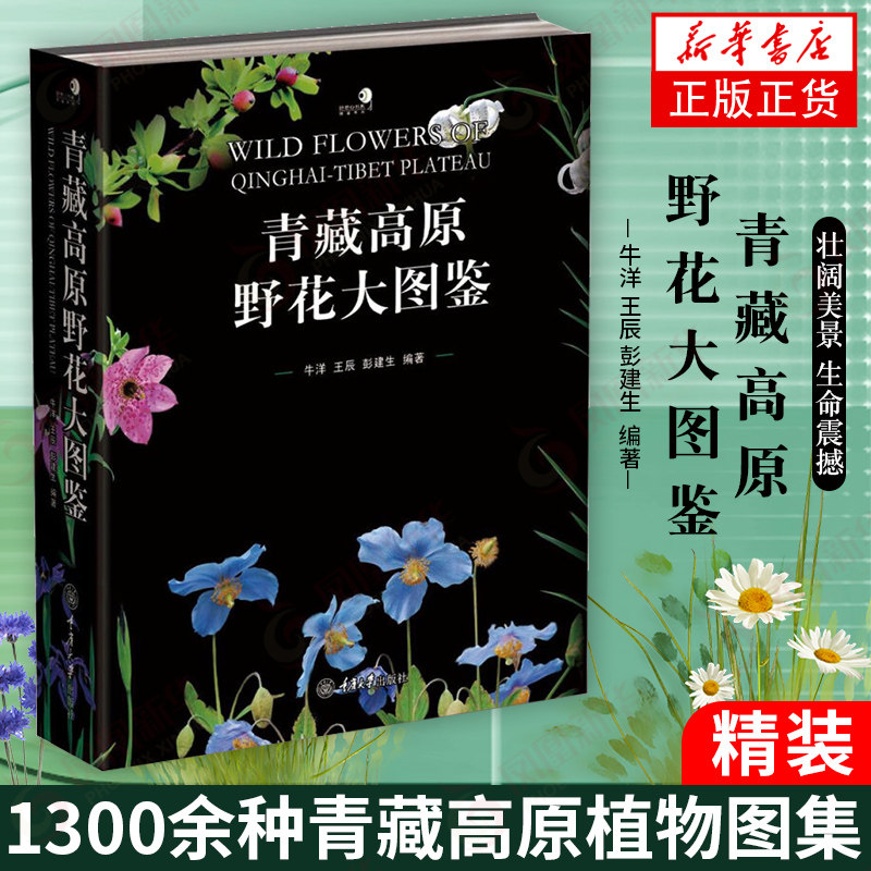【出版社直发】青藏高原野花大图鉴(精装)赏植物和壮美的自然景观 青藏高原野花的识别图鉴 植物花卉识别 重庆大学出版